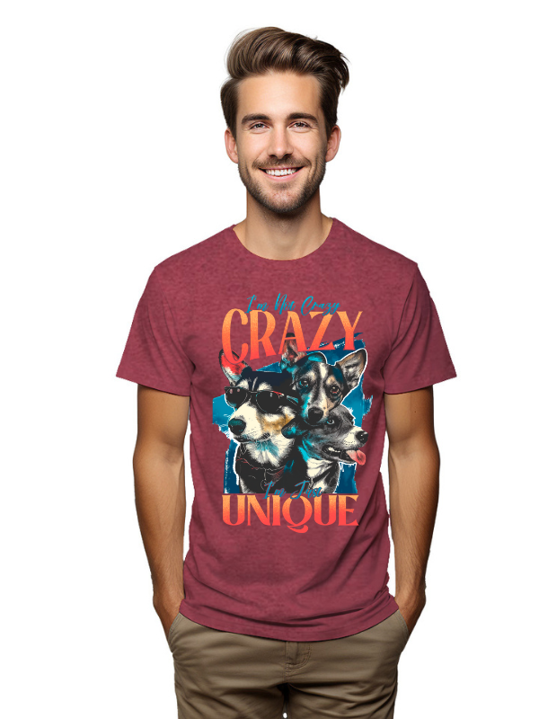 I am Not Crazy