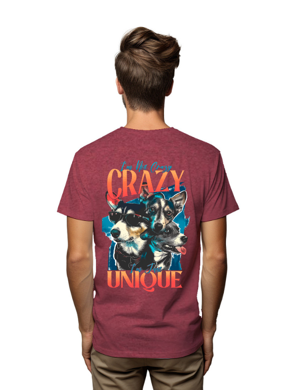I am Not Crazy