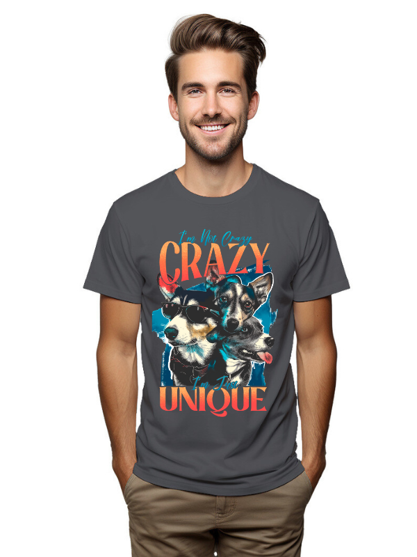 I am Not Crazy